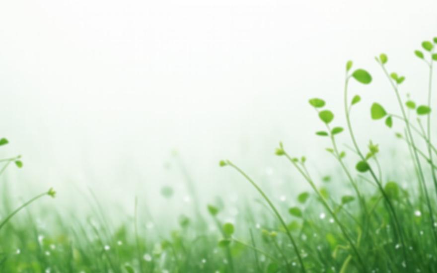 Tvorba webových stránek Poděbrady.